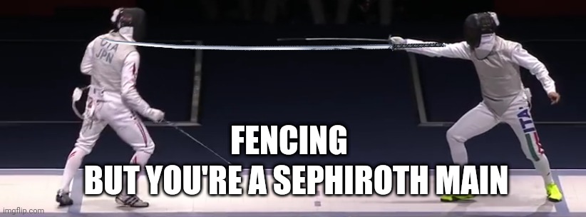 FENCING; BUT YOU'RE A SEPHIROTH MAIN | image tagged in fence,super smash bros | made w/ Imgflip meme maker