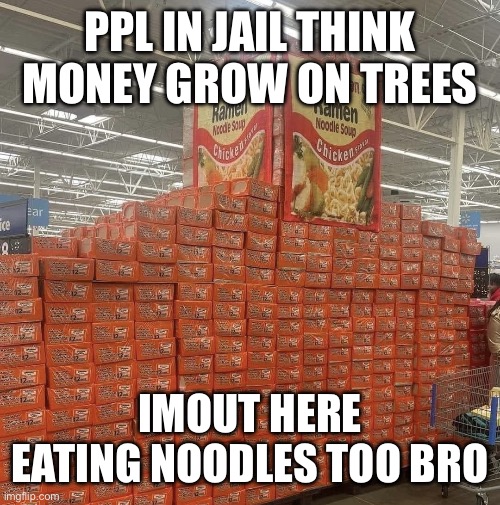 Ramen noodle ain’t just for jail | PPL IN JAIL THINK MONEY GROW ON TREES; I’M OUT HERE EATING NOODLES TOO BRO | image tagged in lots of ramen noodles,jail | made w/ Imgflip meme maker