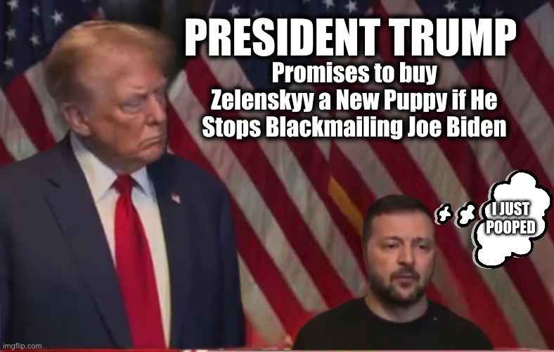 President Trump Ends Ukrainian War | PRESIDENT TRUMP; Promises to buy Zelenskyy a New Puppy if He Stops Blackmailing Joe Biden; I JUST POOPED | image tagged in little vlad,president trump,russo-ukrainian war,vladimir putin,zelenskyy | made w/ Imgflip meme maker