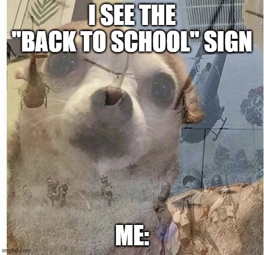 PTSD Chihuahua | I SEE THE "BACK TO SCHOOL" SIGN; ME: | image tagged in ptsd chihuahua | made w/ Imgflip meme maker