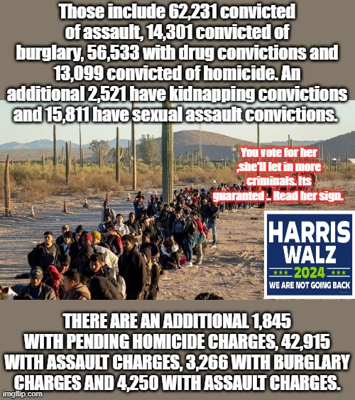 DEMS sure fixed America, didn't they. | You vote for her ,she'll let in more criminals. Its guaranted .. Read her sign. | made w/ Imgflip meme maker
