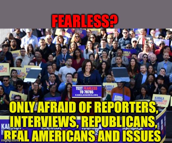 Not afraid of media reporting the truth | FEARLESS? ONLY AFRAID OF REPORTERS, INTERVIEWS, REPUBLICANS, REAL AMERICANS AND ISSUES | image tagged in gifs,kamala harris,democrats,afraid,clueless | made w/ Imgflip meme maker