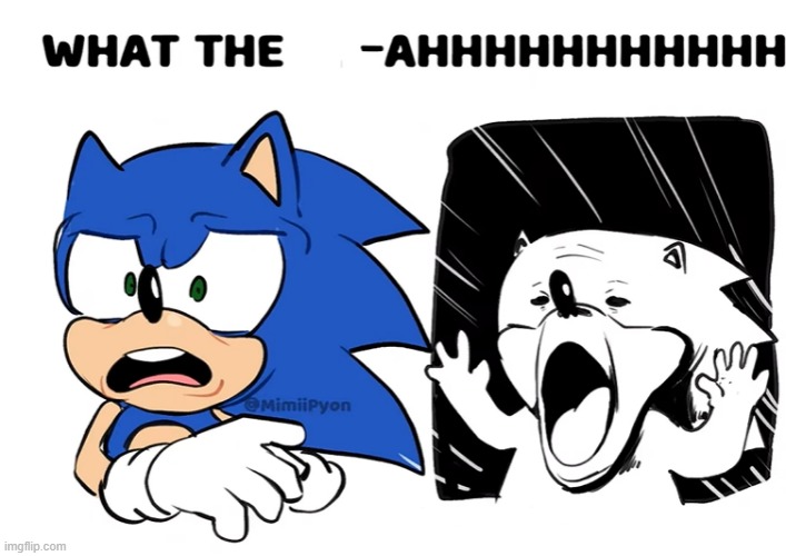 Funny new reaction image I found on the interwebs today | image tagged in sonic what the | made w/ Imgflip meme maker