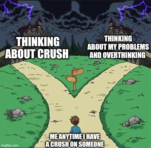 two bad paths meme template | THINKING ABOUT MY PROBLEMS AND OVERTHINKING; THINKING ABOUT CRUSH; ME ANYTIME I HAVE A CRUSH ON SOMEONE | image tagged in two bad paths meme template | made w/ Imgflip meme maker