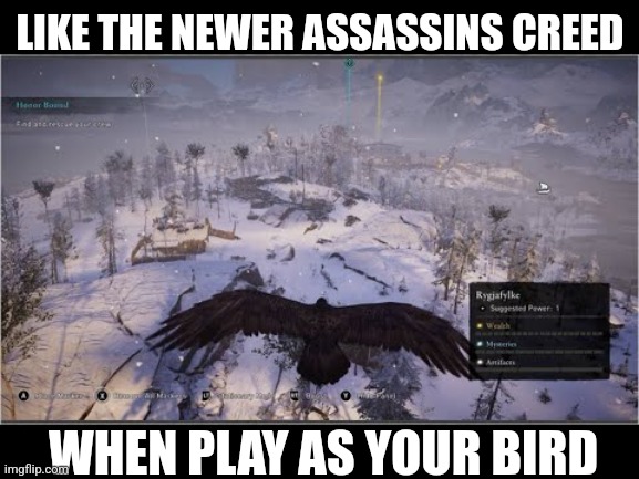 LIKE THE NEWER ASSASSINS CREED WHEN PLAY AS YOUR BIRD | made w/ Imgflip meme maker