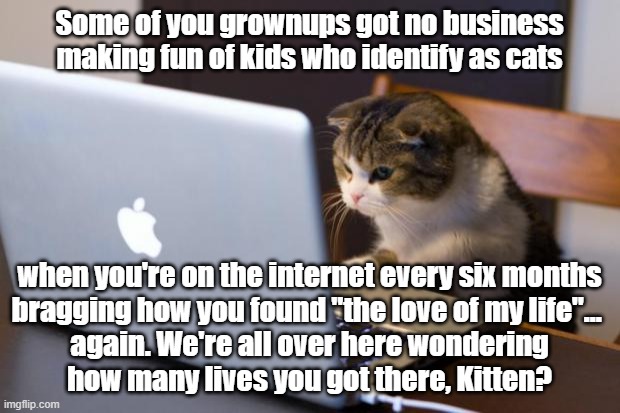 9 Lives | Some of you grownups got no business making fun of kids who identify as cats; when you're on the internet every six months
bragging how you found "the love of my life"... 
again. We're all over here wondering
how many lives you got there, Kitten? | image tagged in cat using computer,funny memes,funny cat memes,nine lives | made w/ Imgflip meme maker