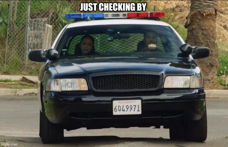 the rookie police car | JUST CHECKING BY | image tagged in the rookie police car | made w/ Imgflip meme maker