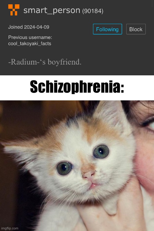 Schizophrenia: | image tagged in schizophrenia cat | made w/ Imgflip meme maker