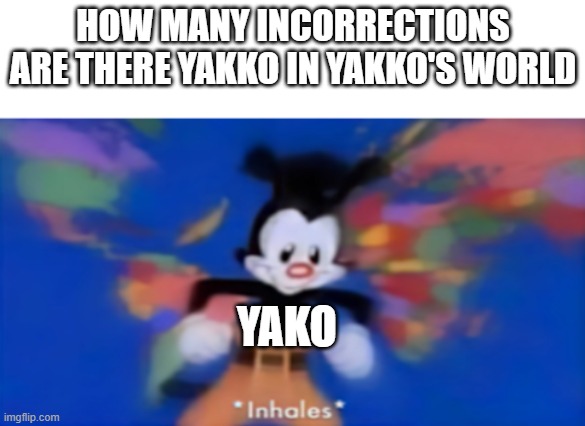 So many | HOW MANY INCORRECTIONS ARE THERE YAKKO IN YAKKO'S WORLD; YAKO | image tagged in yakko inhale | made w/ Imgflip meme maker