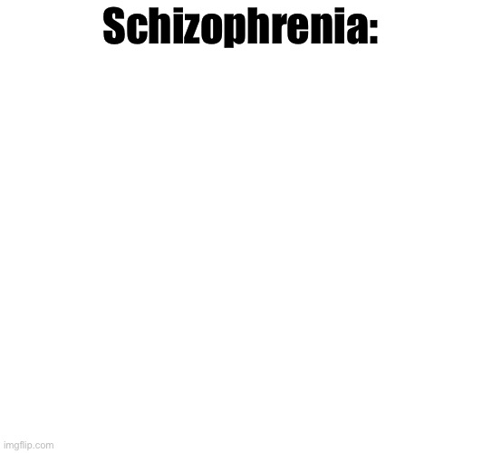 Schizophrenia: | made w/ Imgflip meme maker