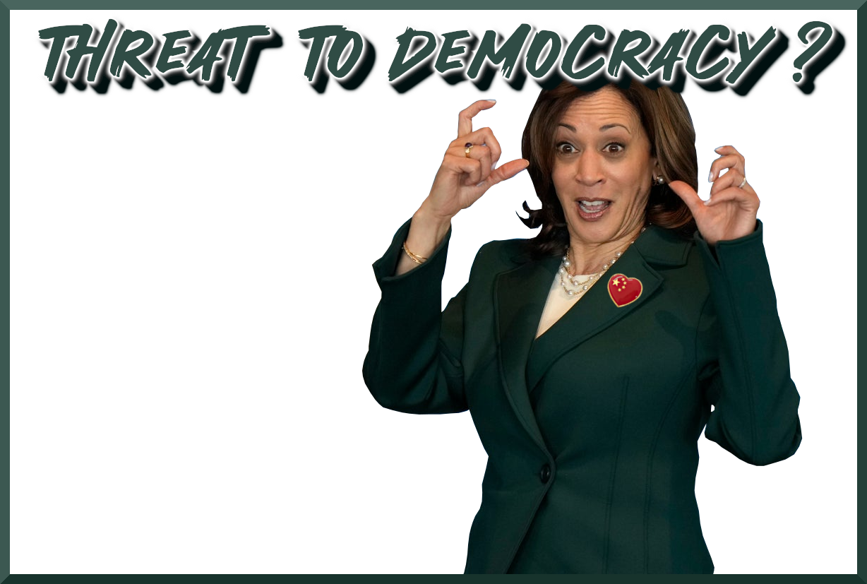 KAMALA - THREAT TO DEMOCRACY Blank Meme Template