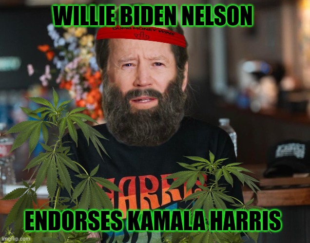 joe biden meme | WILLIE BIDEN NELSON; ENDORSES KAMALA HARRIS | image tagged in willie nelson | made w/ Imgflip meme maker