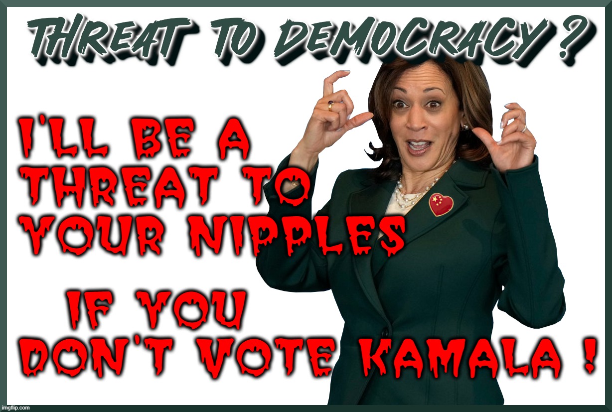 THREAT TO DEMOCRACY..AND...? | I'LL BE A
THREAT TO
YOUR NIPPLES; IF YOU               
DON'T VOTE KAMALA ! | image tagged in kamala,threat,democracy,vote,nipples,election | made w/ Imgflip meme maker