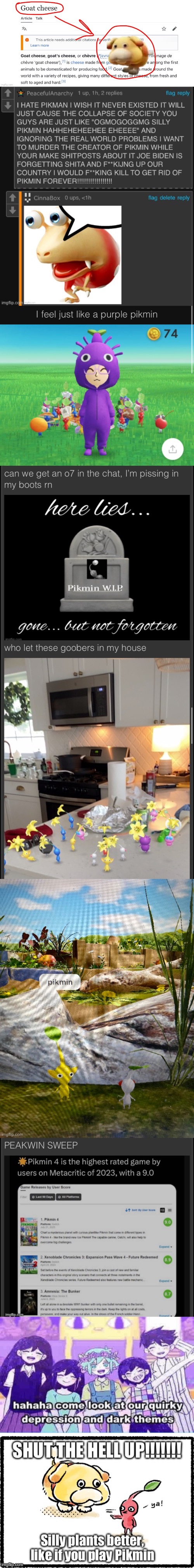 shoutout to my pikposting era from last year | made w/ Imgflip meme maker