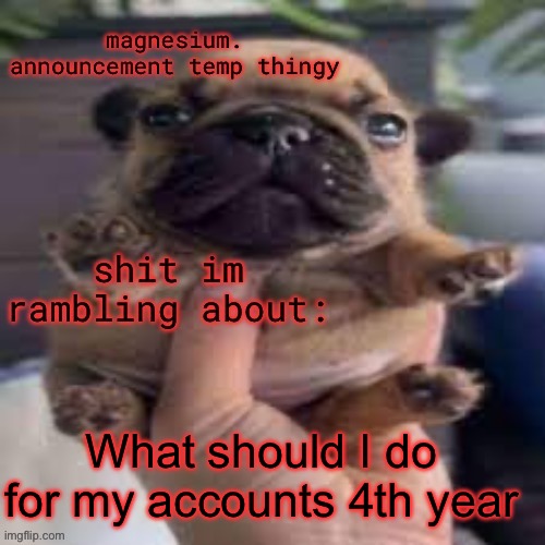 pug temp | What should I do for my accounts 4th year | image tagged in pug temp | made w/ Imgflip meme maker