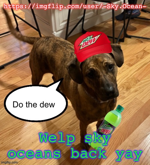 Do the dew | https://imgflip.com/user/-Sky.Ocean-; Welp sky oceans back yay | image tagged in do the dew | made w/ Imgflip meme maker