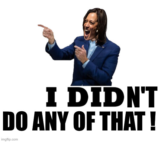 Kamala | N'T DO ANY OF THAT ! | image tagged in kamala | made w/ Imgflip meme maker