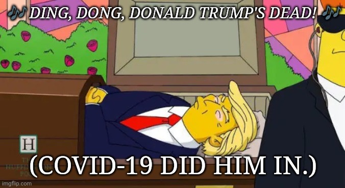 No more Trump! | 🎶 DING, DONG, DONALD TRUMP'S DEAD! 🎶; (COVID-19 DID HIM IN.) | image tagged in trump coffin | made w/ Imgflip meme maker