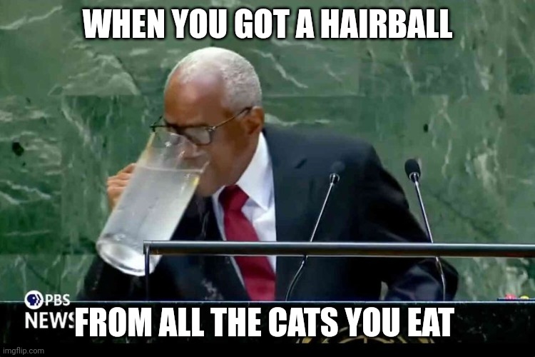 This is how you drink water at 3am when you live alone | WHEN YOU GOT A HAIRBALL; FROM ALL THE CATS YOU EAT | image tagged in haiti | made w/ Imgflip meme maker