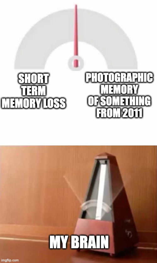 Memory loss | PHOTOGRAPHIC MEMORY OF SOMETHING FROM 2011; SHORT TERM MEMORY LOSS; MY BRAIN | image tagged in metronome | made w/ Imgflip meme maker