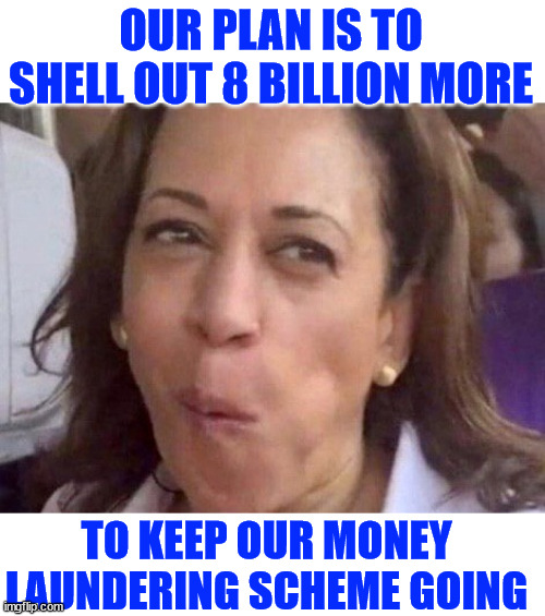 Kamala Harris | OUR PLAN IS TO SHELL OUT 8 BILLION MORE TO KEEP OUR MONEY LAUNDERING SCHEME GOING | image tagged in kamala harris | made w/ Imgflip meme maker