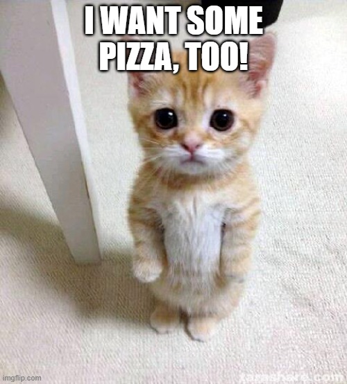 Cute Cat | I WANT SOME PIZZA, TOO! | image tagged in memes,cute cat | made w/ Imgflip meme maker