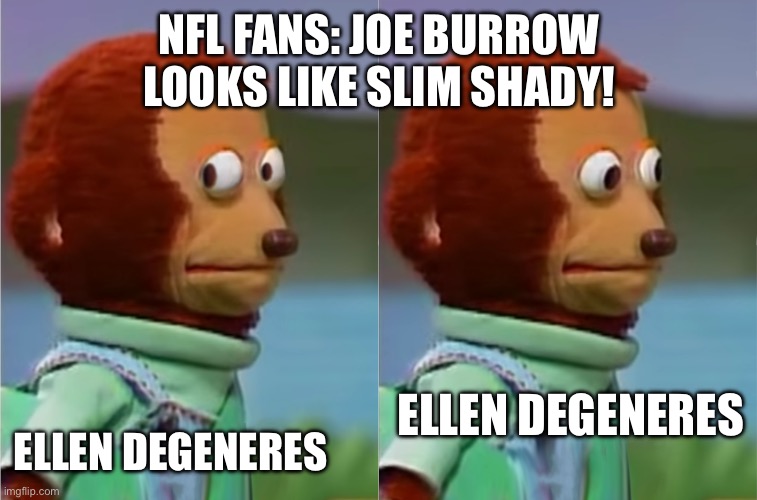 Joe burrow hair | NFL FANS: JOE BURROW LOOKS LIKE SLIM SHADY! ELLEN DEGENERES; ELLEN DEGENERES | image tagged in puppet monkey looking away,nfl | made w/ Imgflip meme maker