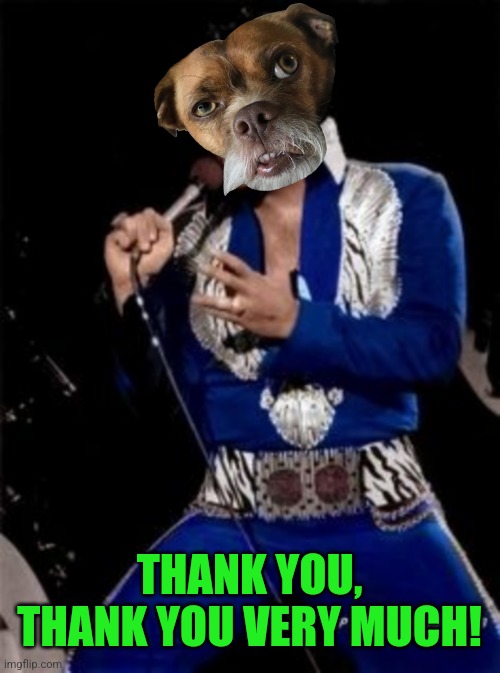 THANK YOU, THANK YOU VERY MUCH! | made w/ Imgflip meme maker