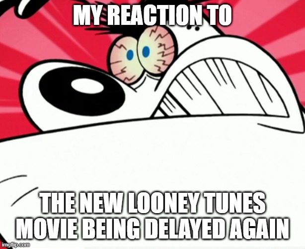 seriously it feels like this thing is never gonna be released | MY REACTION TO; THE NEW LOONEY TUNES MOVIE BEING DELAYED AGAIN | image tagged in furious dingus,memes | made w/ Imgflip meme maker