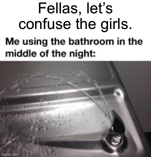 Come on boys. | Fellas, let’s confuse the girls. | image tagged in memes,funny,me and the boys | made w/ Imgflip meme maker