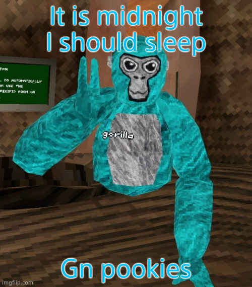 Monkey | It is midnight I should sleep; Gn pookies | image tagged in monkey | made w/ Imgflip meme maker