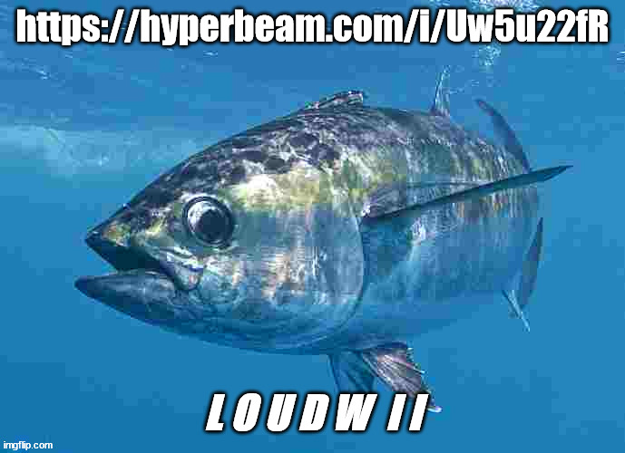 https://hyperbeam.com/i/Uw5u22fR | https://hyperbeam.com/i/Uw5u22fR; L O U D W  I I | image tagged in tuma fibsh | made w/ Imgflip meme maker