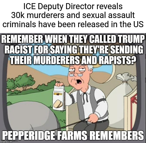 That is does not count the countless other crimes and those with pending charges. We're talking 500k | ICE Deputy Director reveals 30k murderers and sexual assault criminals have been released in the US; REMEMBER WHEN THEY CALLED TRUMP
 RACIST FOR SAYING THEY'RE SENDING
THEIR MURDERERS AND RAPISTS? | image tagged in pepperidge farms remembers,joe biden,democrats,kamala harris,trump | made w/ Imgflip meme maker