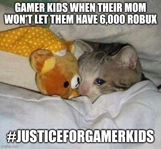 as a gamer kid, i can relate | GAMER KIDS WHEN THEIR MOM WON'T LET THEM HAVE 6,000 ROBUX; #JUSTICEFORGAMERKIDS | image tagged in crying kitten | made w/ Imgflip meme maker