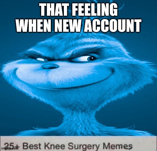 I wonder if some certain users will find this | THAT FEELING WHEN NEW ACCOUNT | image tagged in blue grinch knee surgery template | made w/ Imgflip meme maker