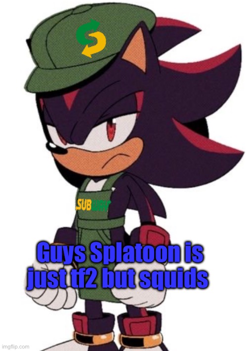 Shadow Subway | Guys Splatoon is just tf2 but squids | image tagged in shadow subway | made w/ Imgflip meme maker