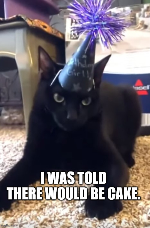 Cake? | I WAS TOLD THERE WOULD BE CAKE. | image tagged in cats,cake | made w/ Imgflip meme maker