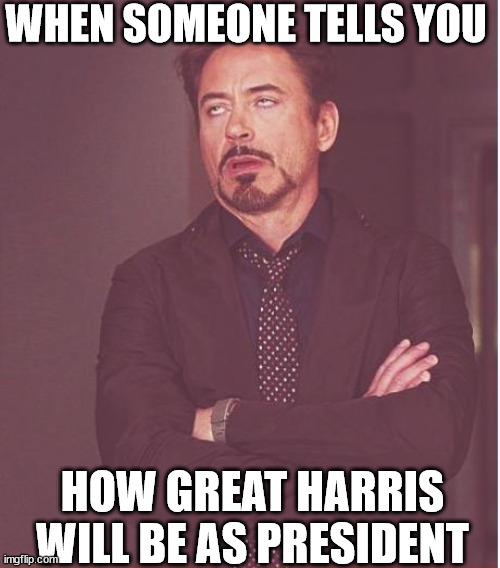 Harris?  Yeah  F\ /CKIN   RIGHT! | WHEN SOMEONE TELLS YOU; HOW GREAT HARRIS WILL BE AS PRESIDENT | image tagged in memes,face you make robert downey jr,kamala harris,a pile,a waste,president | made w/ Imgflip meme maker