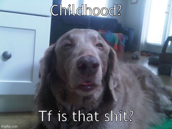 Childhood? Tf is that shit? | image tagged in memes,high dog | made w/ Imgflip meme maker