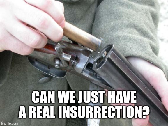 Shotgun Loading | CAN WE JUST HAVE A REAL INSURRECTION? | image tagged in shotgun loading | made w/ Imgflip meme maker