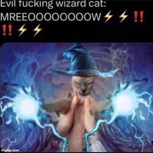 Evil fucking Wizard cat: | image tagged in evil fucking wizard cat | made w/ Imgflip meme maker