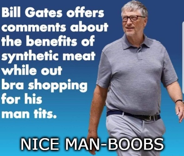 NICE MAN-BOOBS | image tagged in bill gates,leftist loon,globalist | made w/ Imgflip meme maker