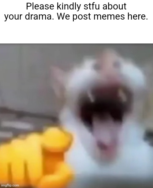 Cat pointing and laughing | Please kindly stfu about your drama. We post memes here. | image tagged in cat pointing and laughing | made w/ Imgflip meme maker