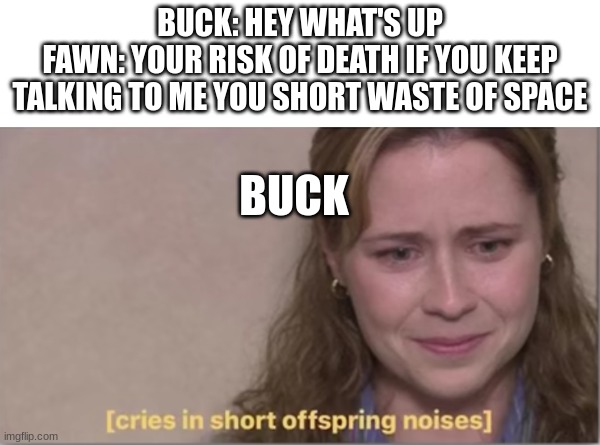 And the Worst Sister Award goes to Fawn ;_; | BUCK: HEY WHAT'S UP
FAWN: YOUR RISK OF DEATH IF YOU KEEP TALKING TO ME YOU SHORT WASTE OF SPACE; BUCK | image tagged in ocs,short,sister | made w/ Imgflip meme maker