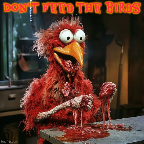 the early bird catches the...whatever that used to be | Don't feed the birds | image tagged in muppets | made w/ Imgflip meme maker