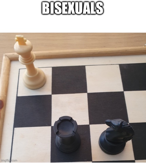 Check mate | BISEXUALS | image tagged in check mate | made w/ Imgflip meme maker