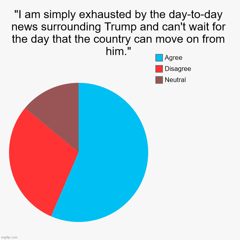 Big Village, Polling USA 9/25/24 | "I am simply exhausted by the day-to-day news surrounding Trump and can't wait for the day that the country can move on from him." | Neutral | image tagged in charts,pie charts,trump,crazy,boredom,exhausted | made w/ Imgflip chart maker