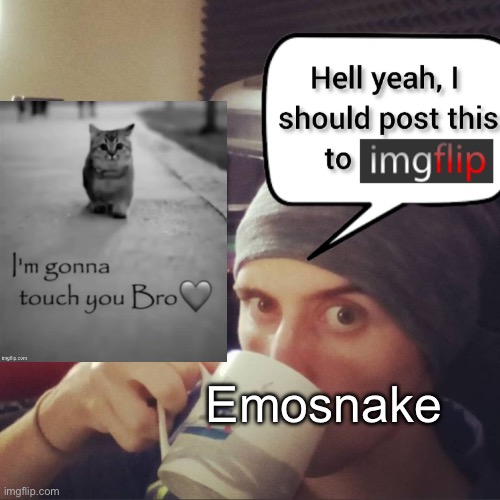Emosnake | image tagged in completely bullshit comment section that nobody cares about | made w/ Imgflip meme maker