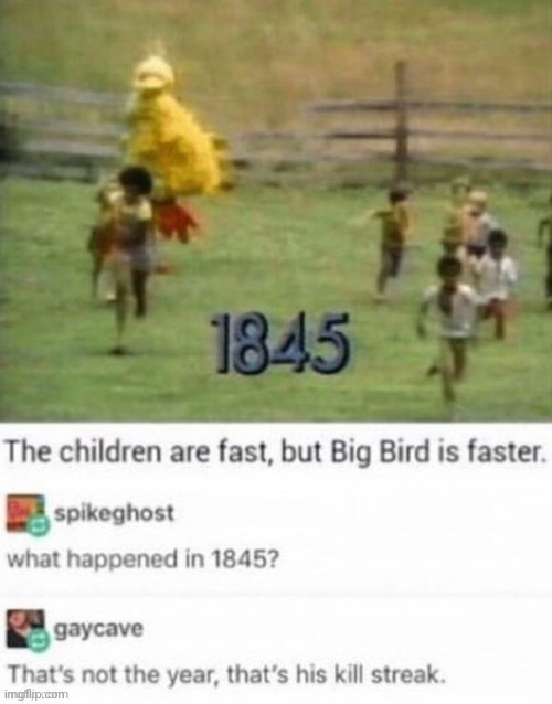 image tagged in memes,funny,dark,owu,big bird | made w/ Imgflip meme maker