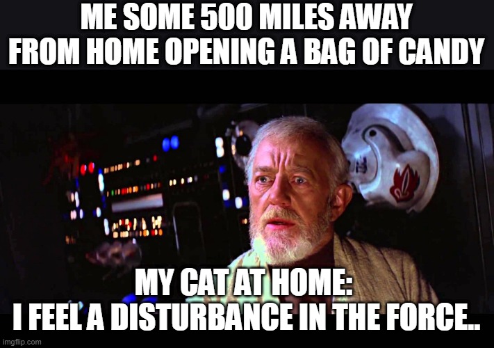 Cats and treat bags | ME SOME 500 MILES AWAY FROM HOME OPENING A BAG OF CANDY; MY CAT AT HOME: 
I FEEL A DISTURBANCE IN THE FORCE.. | image tagged in i felt a great disturbance in the force | made w/ Imgflip meme maker